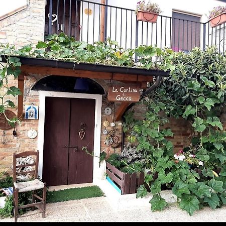 B&B La Casa In Campagna Collecorvino ภายนอก รูปภาพ