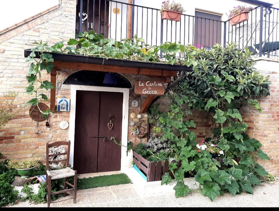 B&B La Casa In Campagna Collecorvino ภายนอก รูปภาพ