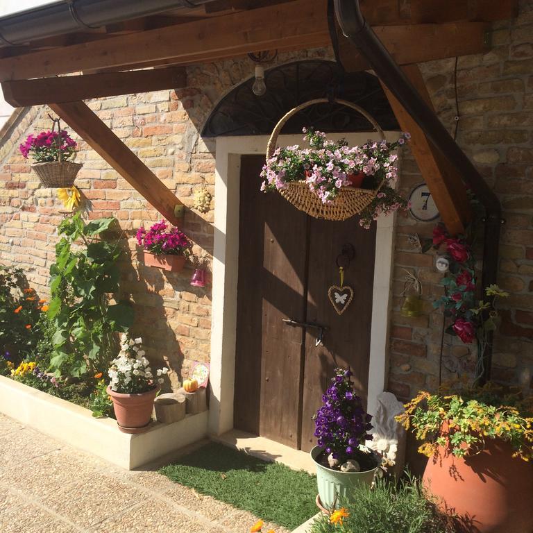B&B La Casa In Campagna Collecorvino ภายนอก รูปภาพ