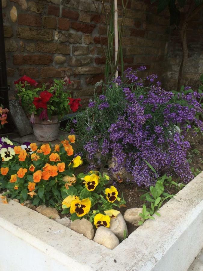 B&B La Casa In Campagna Collecorvino ภายนอก รูปภาพ
